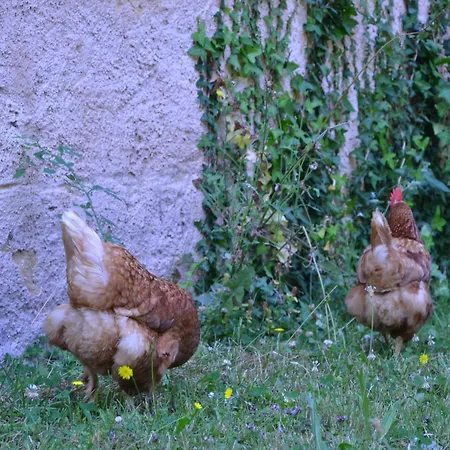 Domaine De Hontaut A بيت للعطل كوندوم
